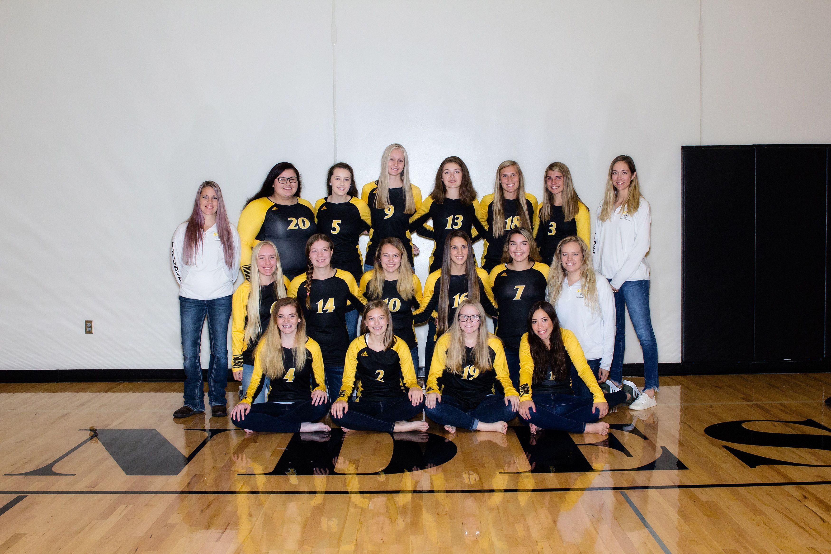 Volleyball Dakota Christian School